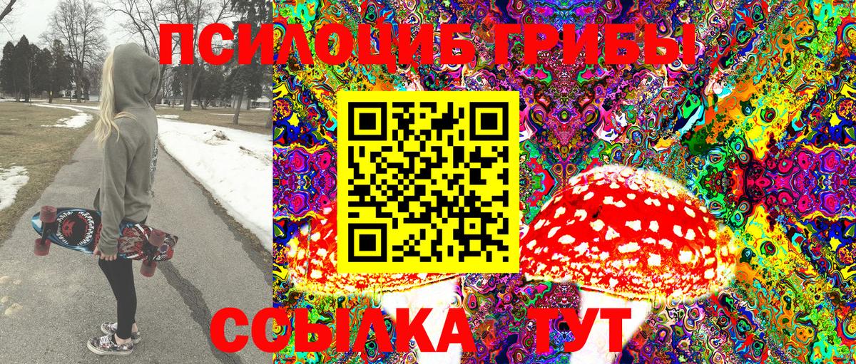 Галлюциногенные грибы прущие грибы  что такое   Октябрьский  Псилоцибиновые грибы мицелий  Вход с VPN 