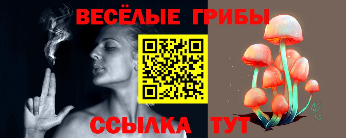 Галлюциногенные грибы GOLDEN TEACHER Октябрьский